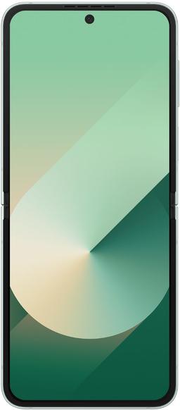 Galaxy Z Flip6 - 256GB - Mint